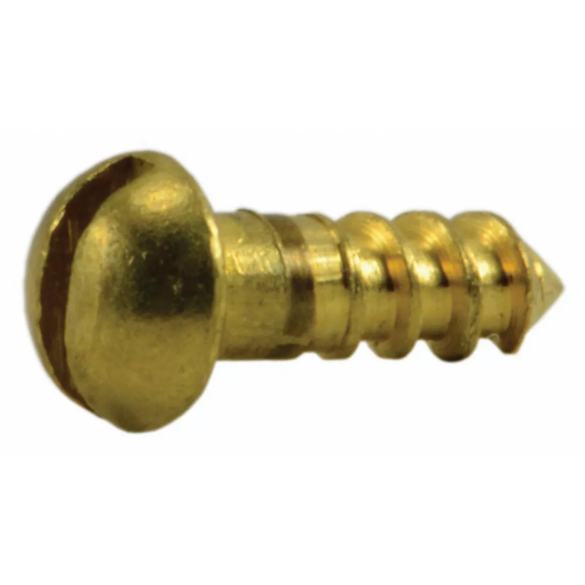 Midwest Fastener #2 x 1/4 In. Brass Slotted Round Head Wood Screws (12 Ct.)-