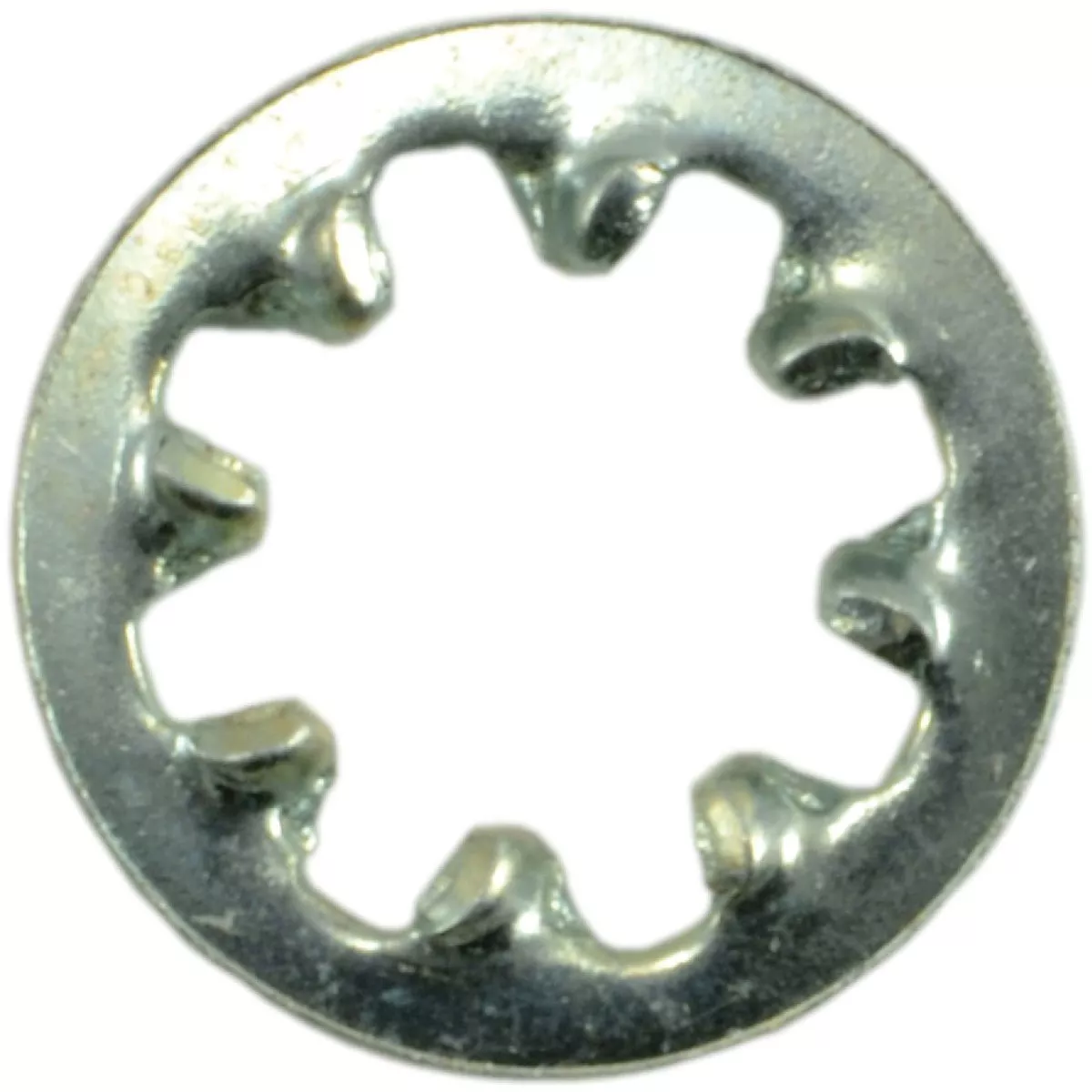 Midwest Fastener #6 x 9/64 In. x 19/64 In. Zinc Plated Grade 2 Steel Internal Tooth Lock Washers (12 Ct.)-