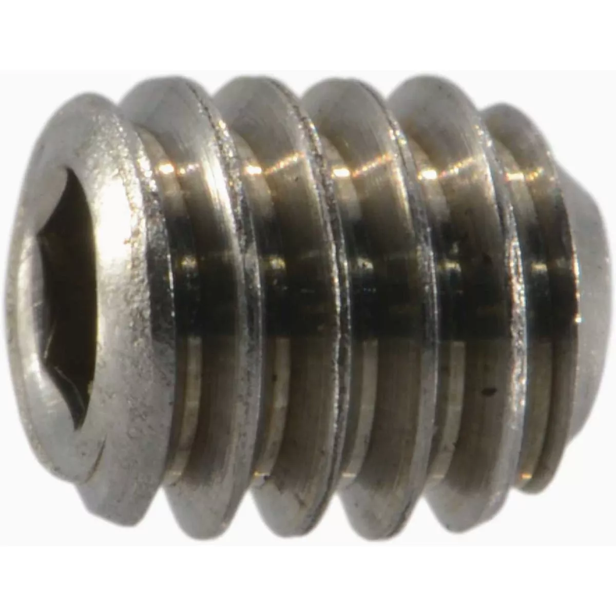 Midwest Fastener #8-32 x 3/16 In. 18-8 Stainless Steel Coarse Thread Hex Socket Headless Set Screws (12 Ct.)