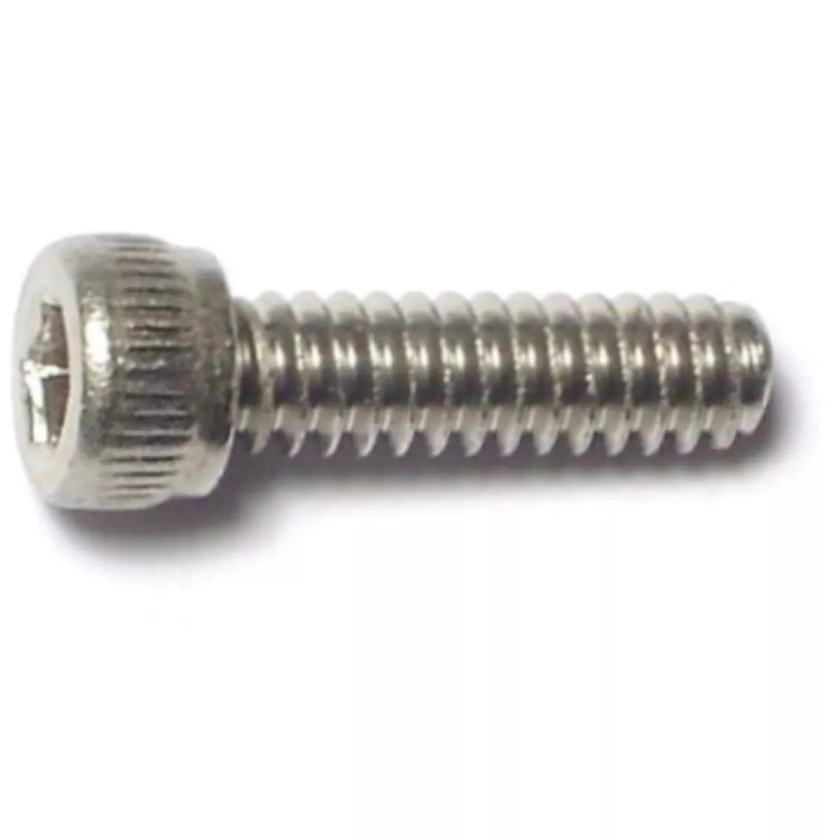 Midwest Fastener #6-32 x 1/2 In. 18-8 Stainless Steel Coarse Thread Socket Cap Screws (10 Ct.)