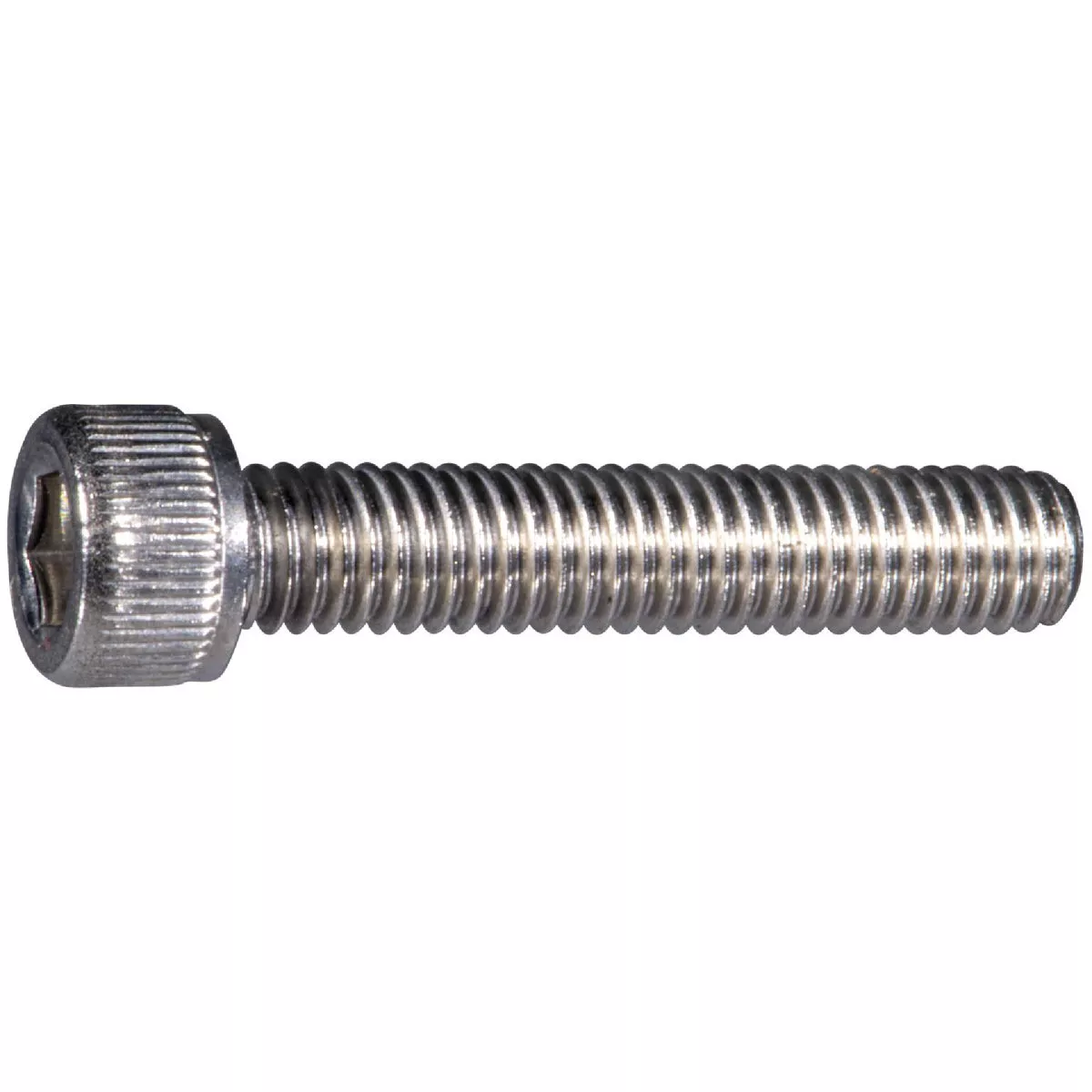 Midwest Fastener #10-32 x1 In. Stainless Steel Fine Thread Knurled Head Hex Socket Cap Screw (10 Ct.)-