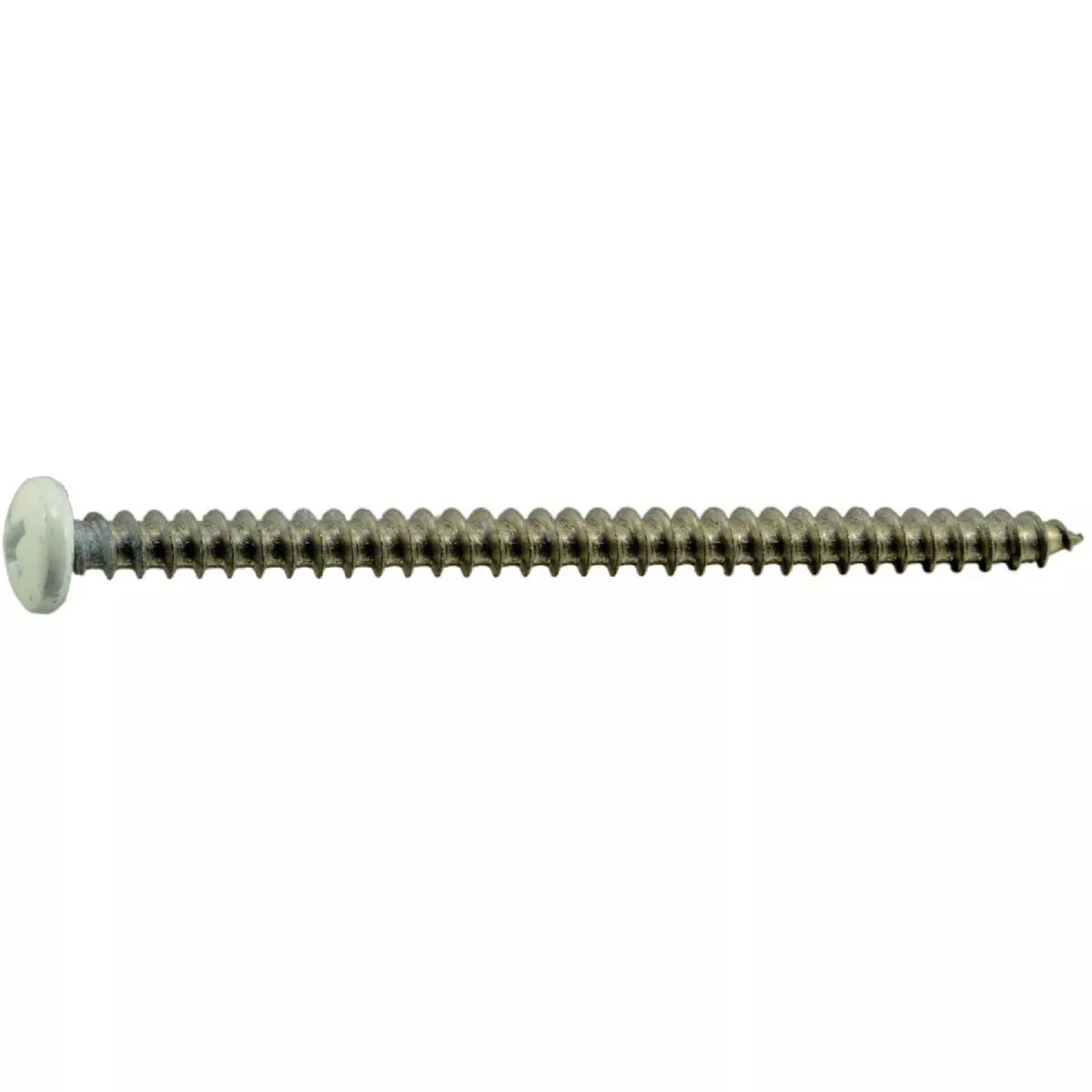 Midwest Fastener #10 x 3 In. White Painted 18-8 Stainless Steel Phillips Pan Head Sheet Metal Screws (10 Ct.)