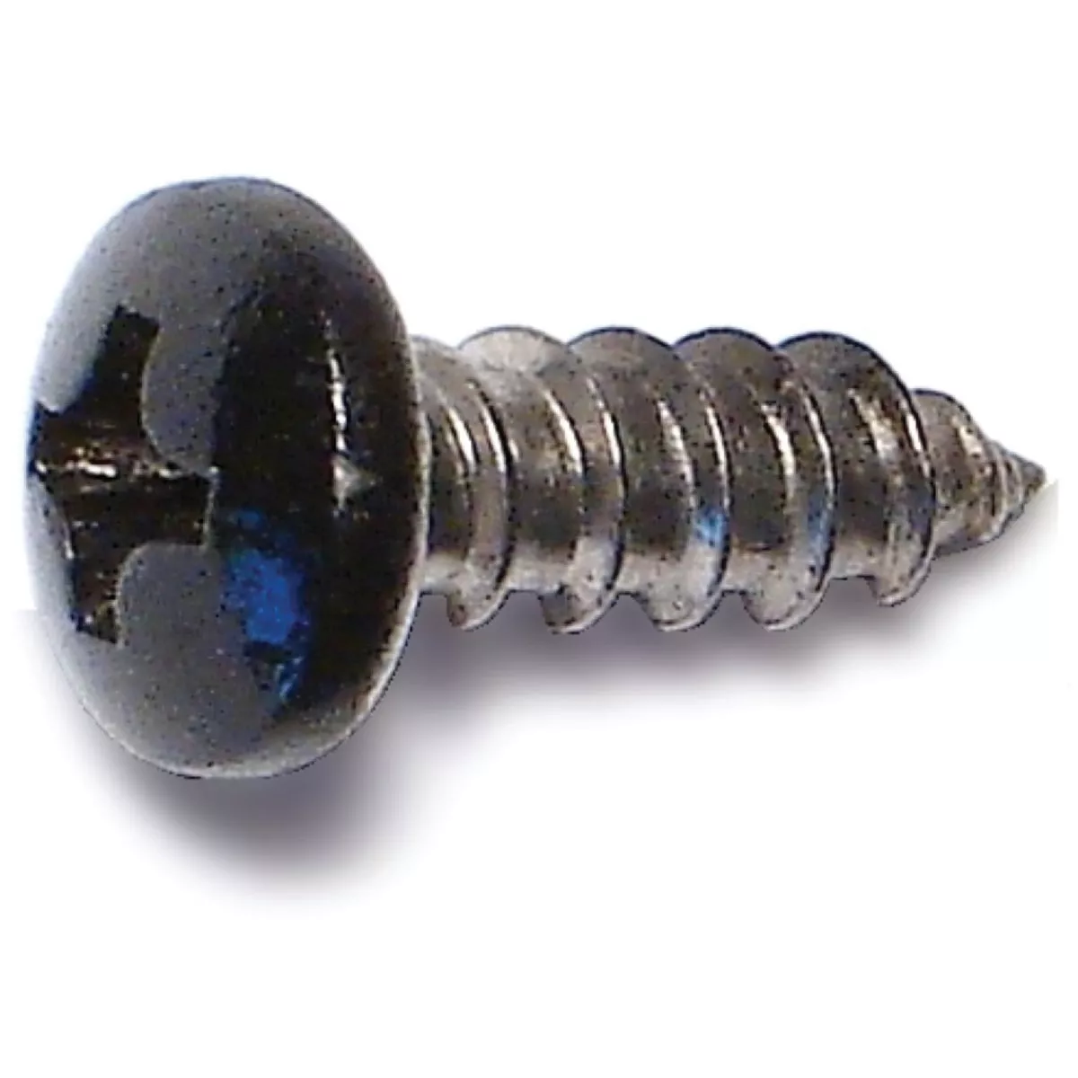 Midwest Fastener #8 x 1/2 In. Black Painted 18-8 Stainless Steel Phillips Pan Head Sheet Metal Screws