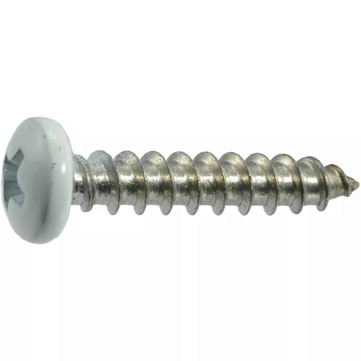Midwest Fastener #10 x 1 In. White Painted 18-8 Stainless Steel Phillips Pan Head Sheet Metal Screws (10 Ct.)-