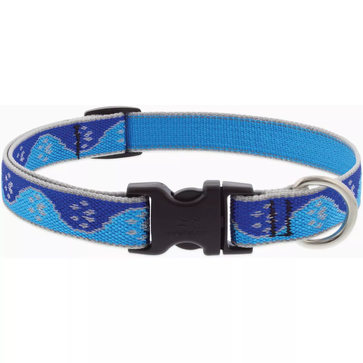 Lupine Reflective 9 to 14 In. Small to Medium Dog Blue Paws Dog Collar