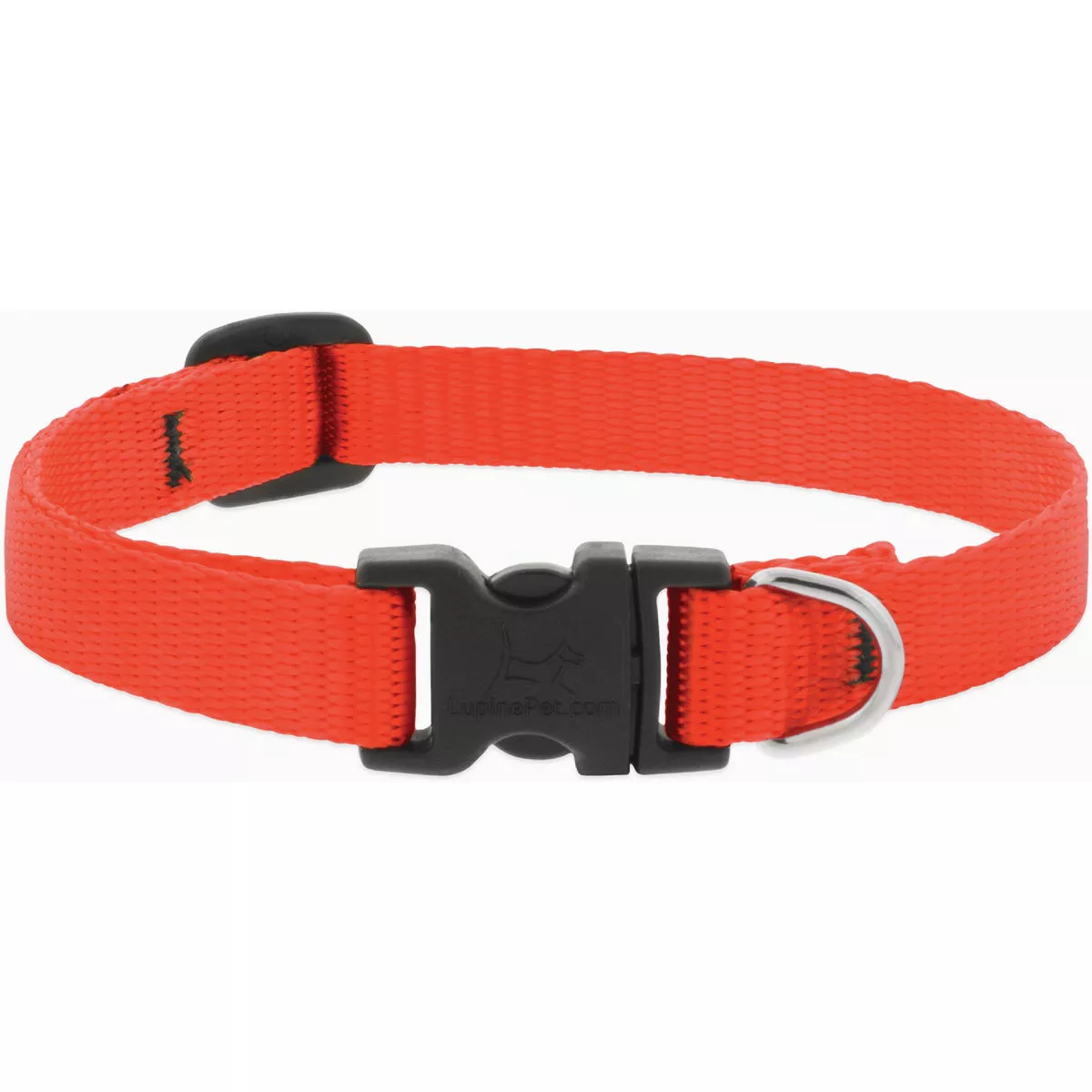 Lupine Adjustable 8 to 12 In. Blaze Orange Puppy & Small Dog Nylon Dog Collar-