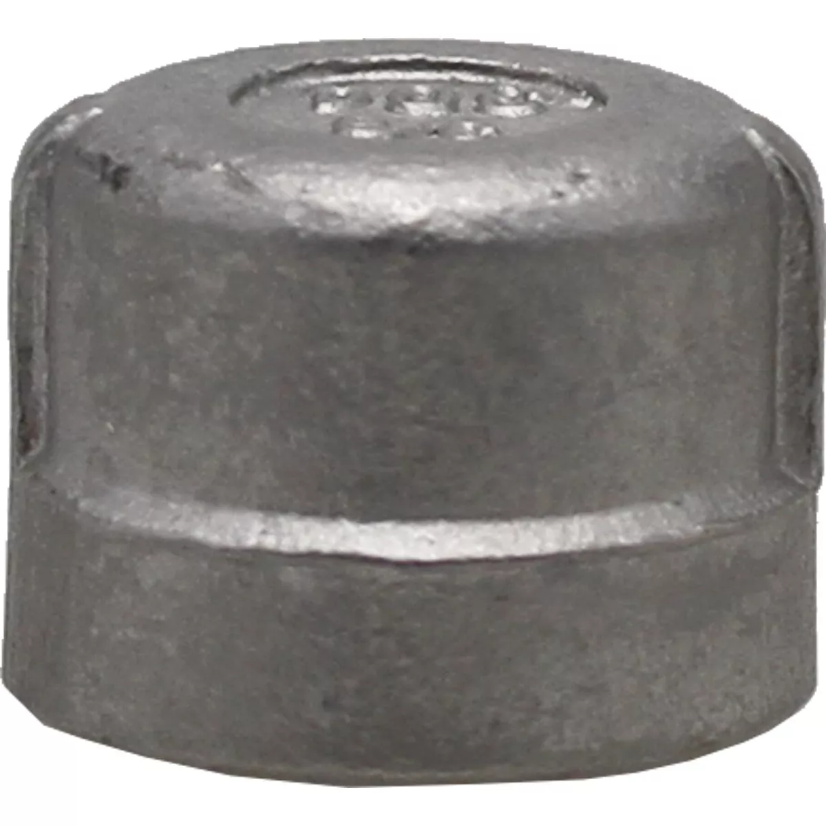 PLUMB-EEZE 3/8 In. FIP Stainless Steel Cap