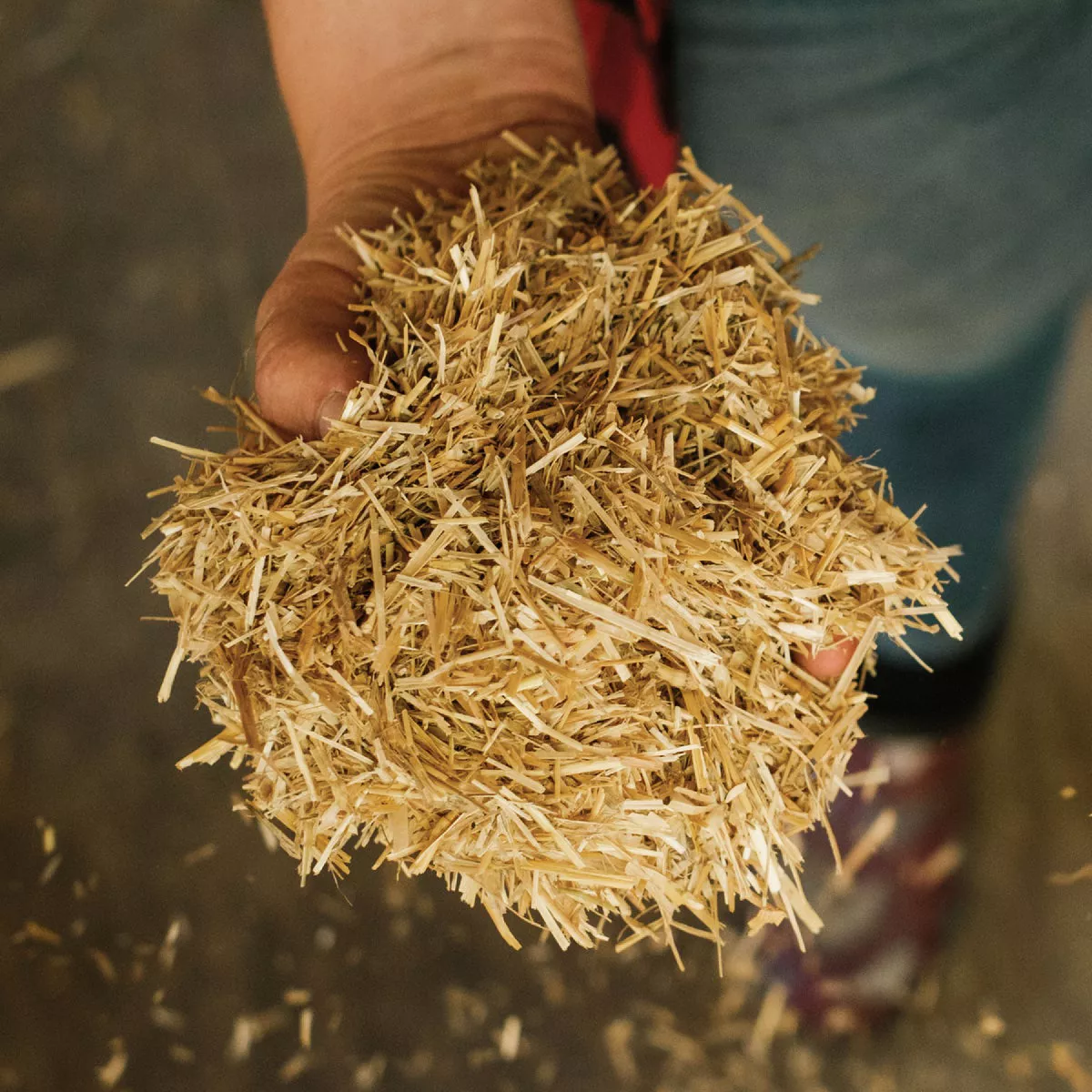 HealthiStraw FarmStraw 3 Cu. Ft. Fine Premium Wheat Straw Animal Bedding - photo 3
