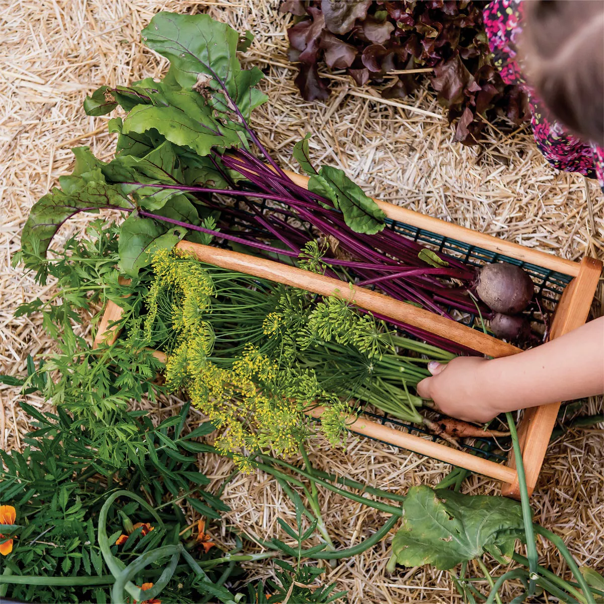 GardenStraw 3 Cu. Ft. Premium Wheat Straw Garden Mulch- - photo 5