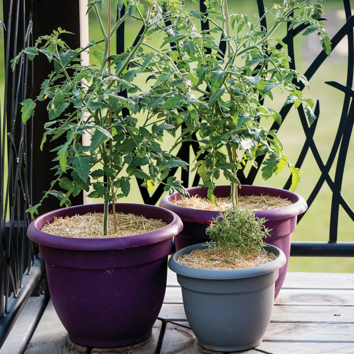 GardenStraw 0.5 Cu. Ft. Mini Premium Wheat Straw Garden Mulch - photo 2