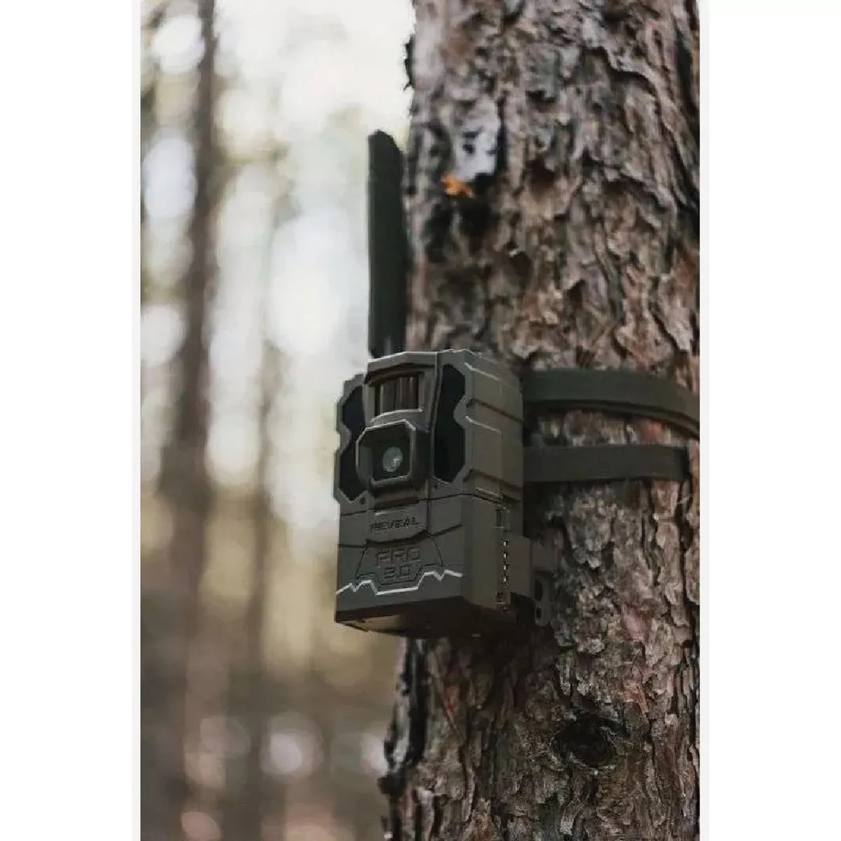 Tactacam REVEAL Pro 3.0 Trail Camera - photo 4