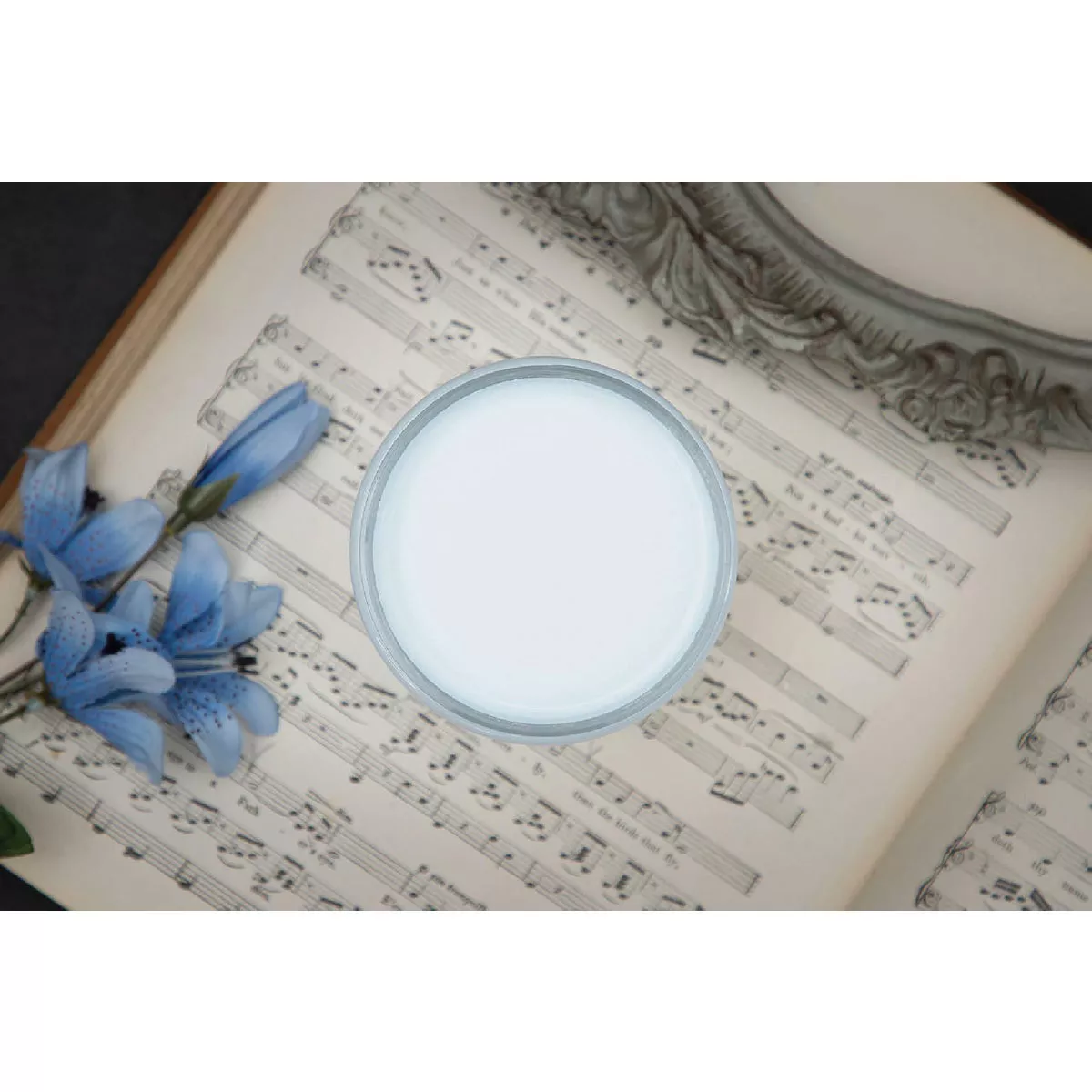 Dixie Belle 16 Oz. Haint Blue Matte Chalk Mineral Paint