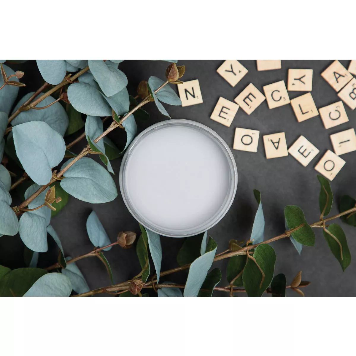 Dixie Belle 8 Oz. Manatee Gray Matte Chalk Mineral Paint