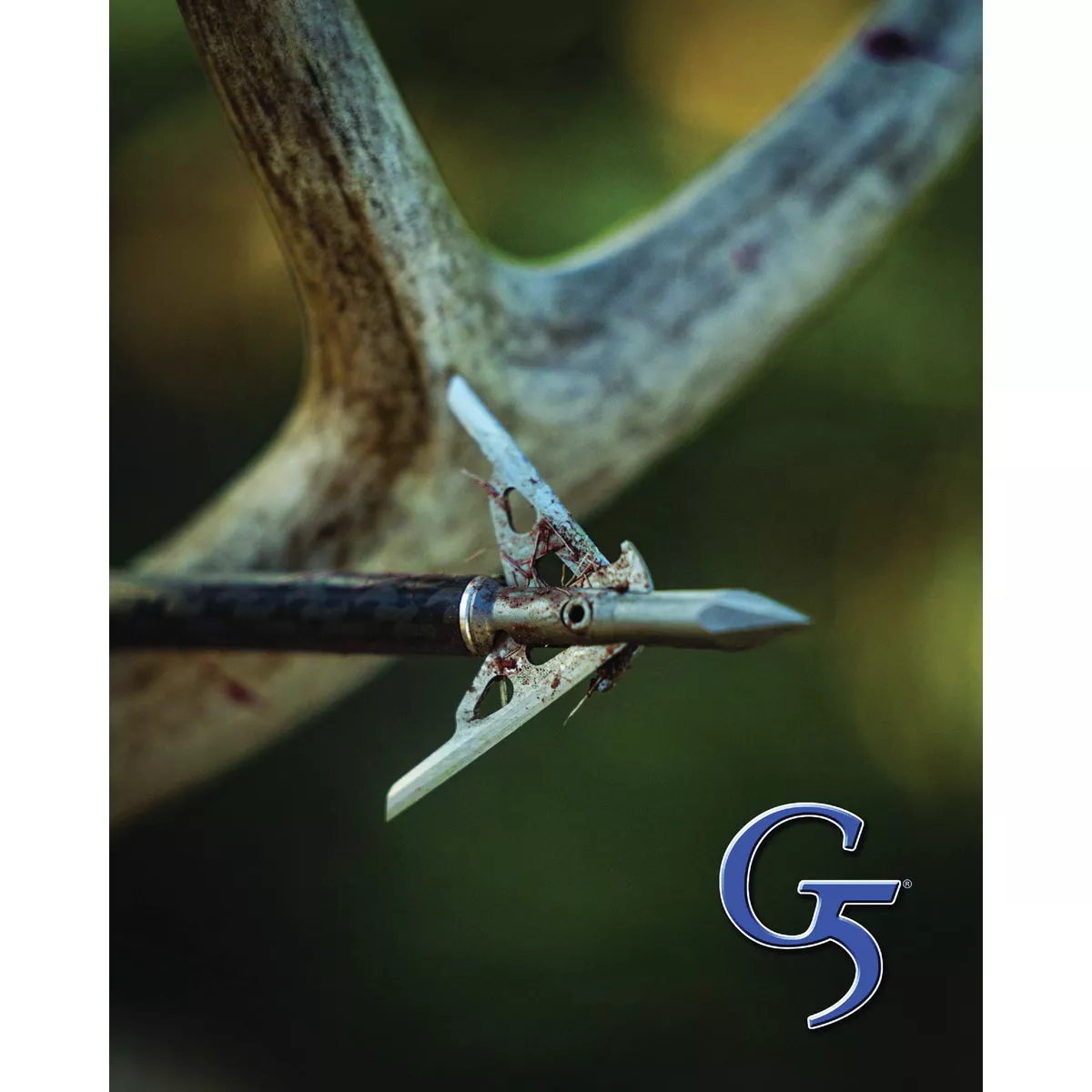 G5 Megameat 125-Grain Broadhead (3-Pack)