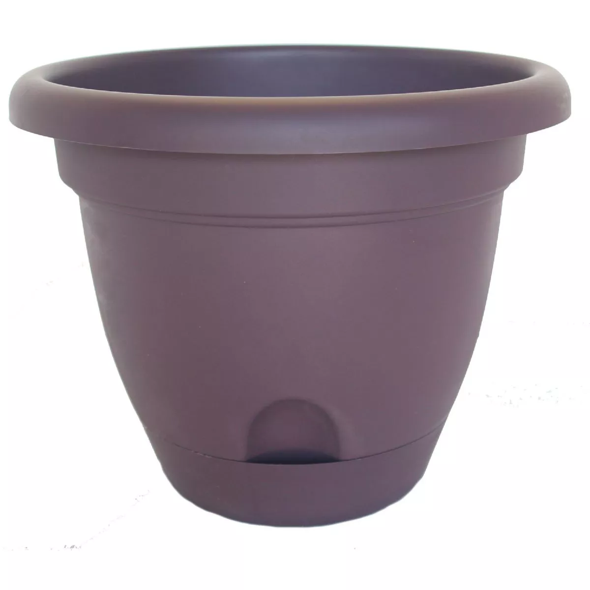 Bloem Lucca 10.75 In. x 13.25 In. x 7 In. High Density Plastic Exotica Planter