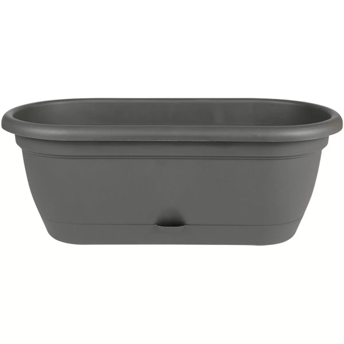 Bloem Lucca 18 In. Plastic Peppercorn Flower Box