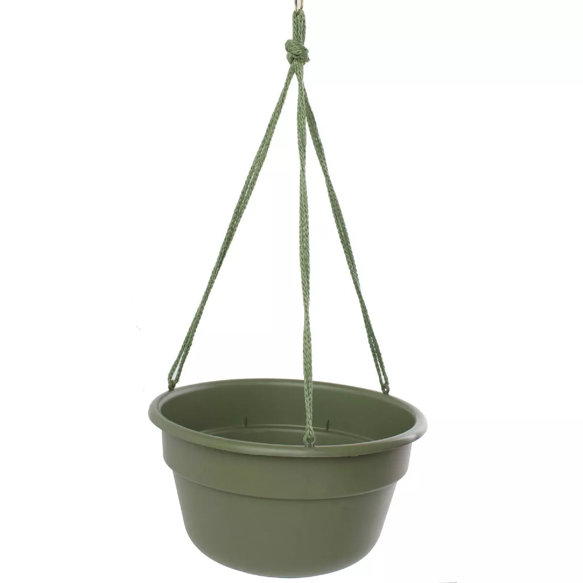 Bloem Dura Cotta 10 In. Plastic Living Green Hanging Plant Basket