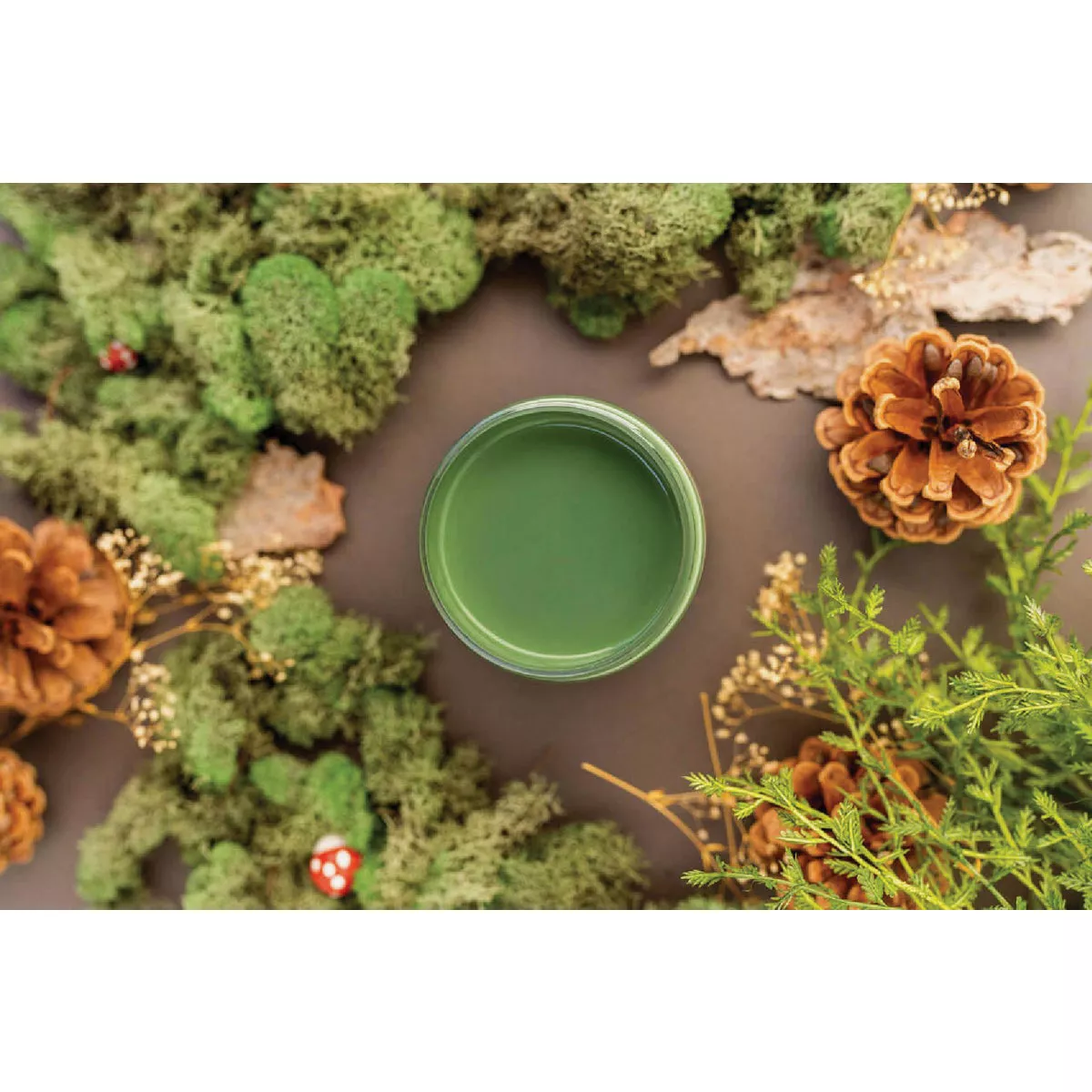 Dixie Belle 8 Oz. English Ivy Matte Chalk Mineral Paint