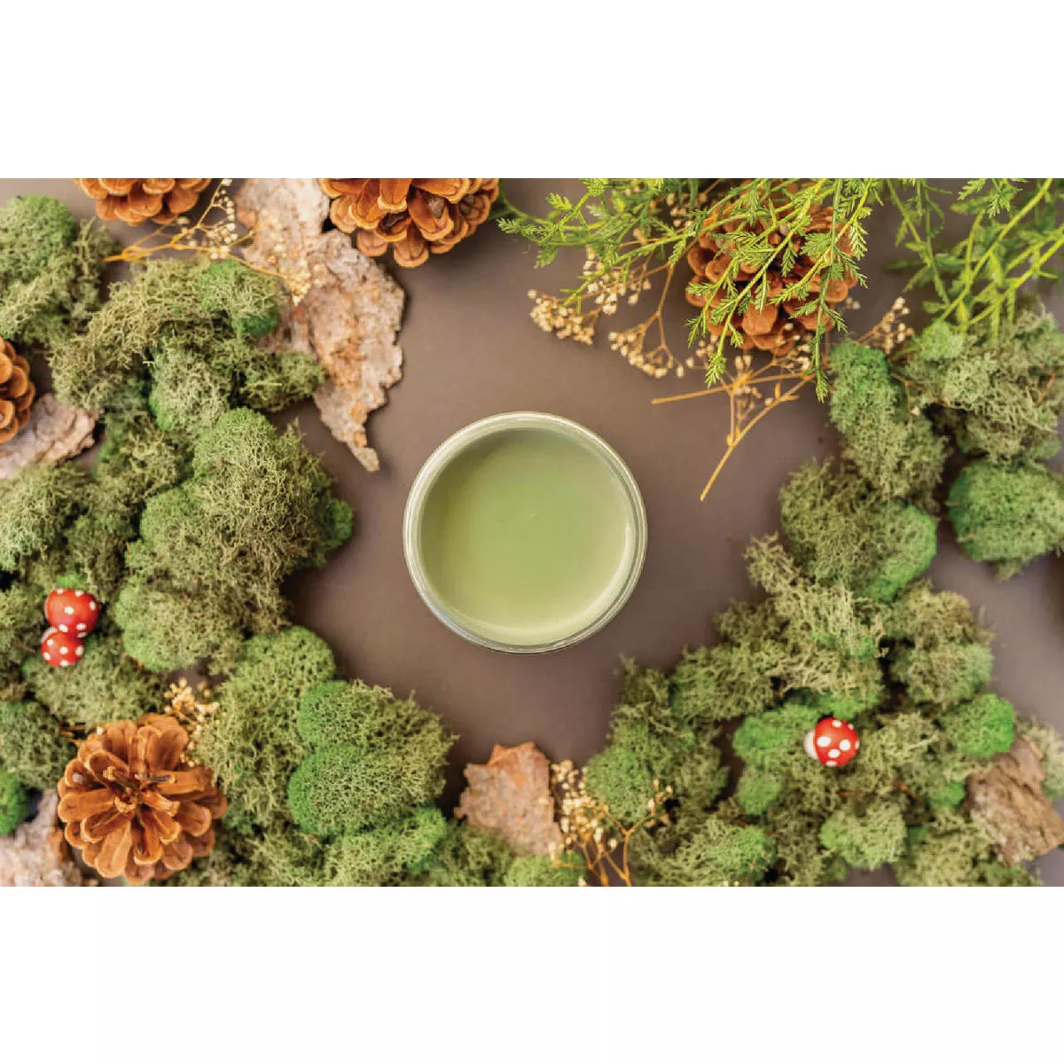 Dixie Belle 8 Oz. Weeping Willow Matte Chalk Mineral Paint