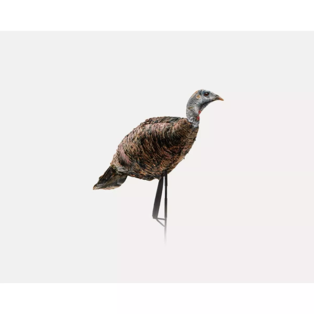 Montana Decoy Miss Purr-FECT XD Hen Decoy
