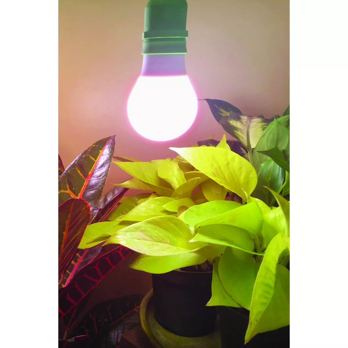 Miracle LED Absolute Daylight 9W Red Full Spectrum Grow Lite Bulb - photo 6