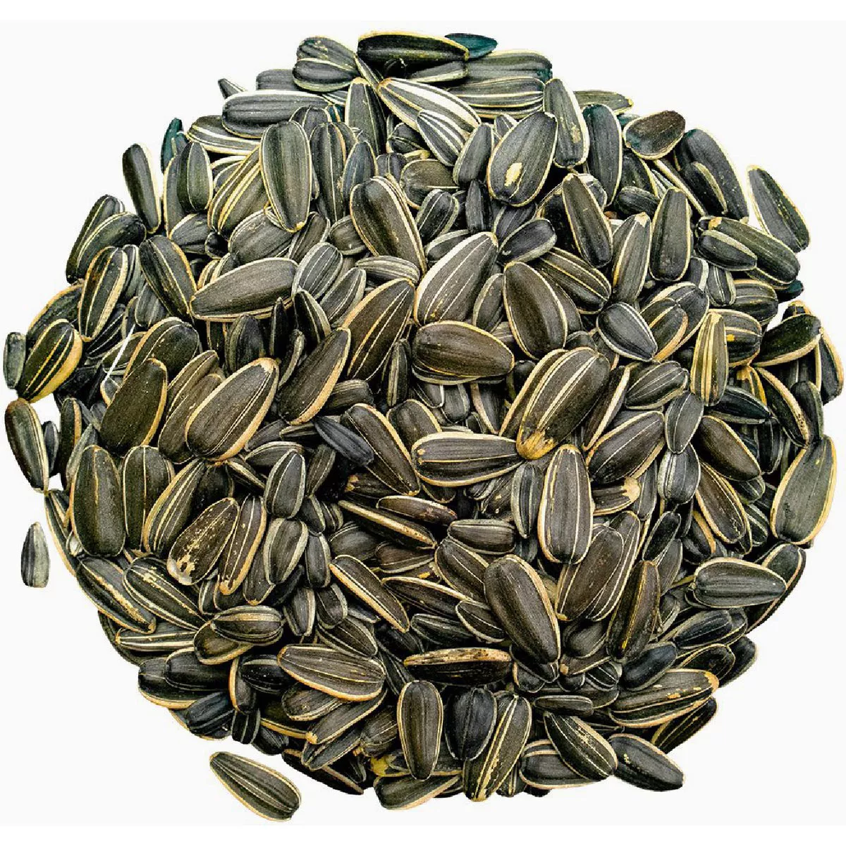 Bird Pro 10 Lb. Premium Striped Sunflower Seed - photo 3