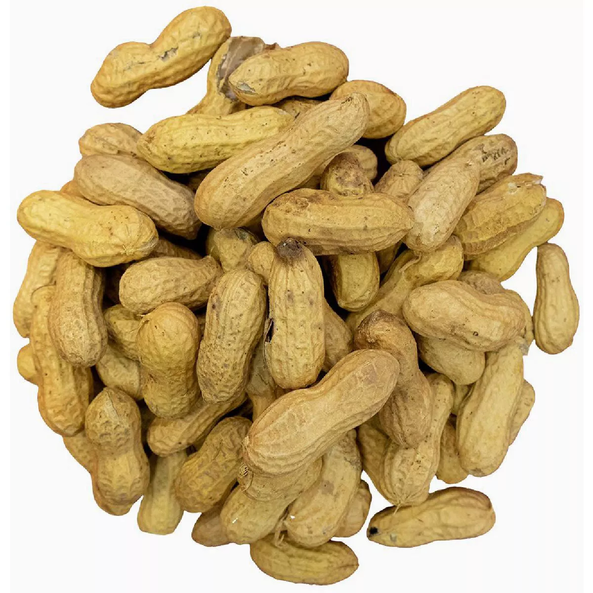 Bird Pro 10 Lb. Raw Peanuts in Shell Squirrel Food - photo 3