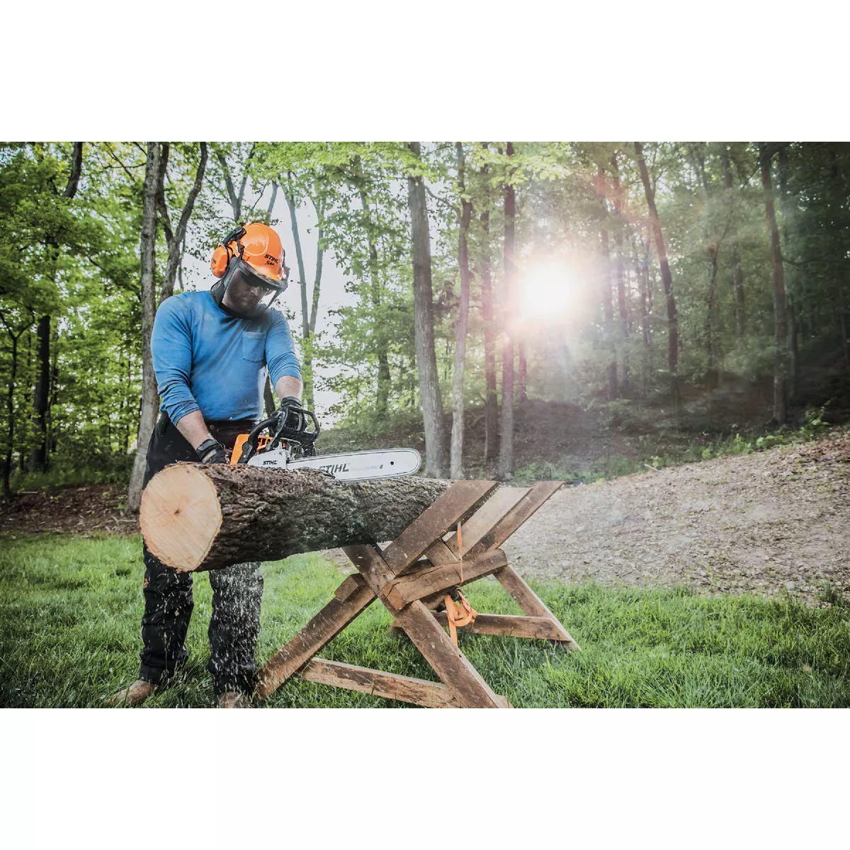 STIHL MS 250 18 In. Gas Chainsaw with 26 RM3 68 Chain - photo 2