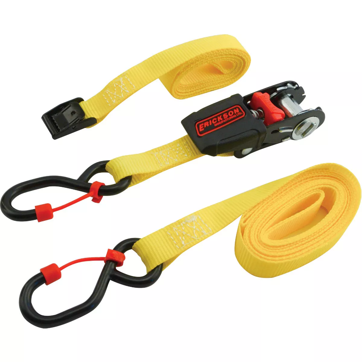 Erickson 10 Ft. Mini Ratchet and Lash Strap