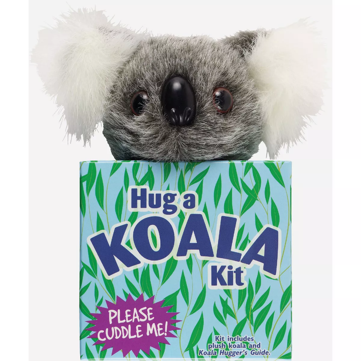 Peter Pauper Hug a Koala Kit