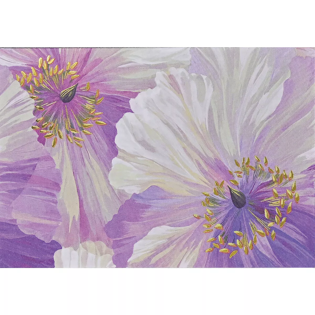 Peter Pauper Poppies in Bloom Note Cards
