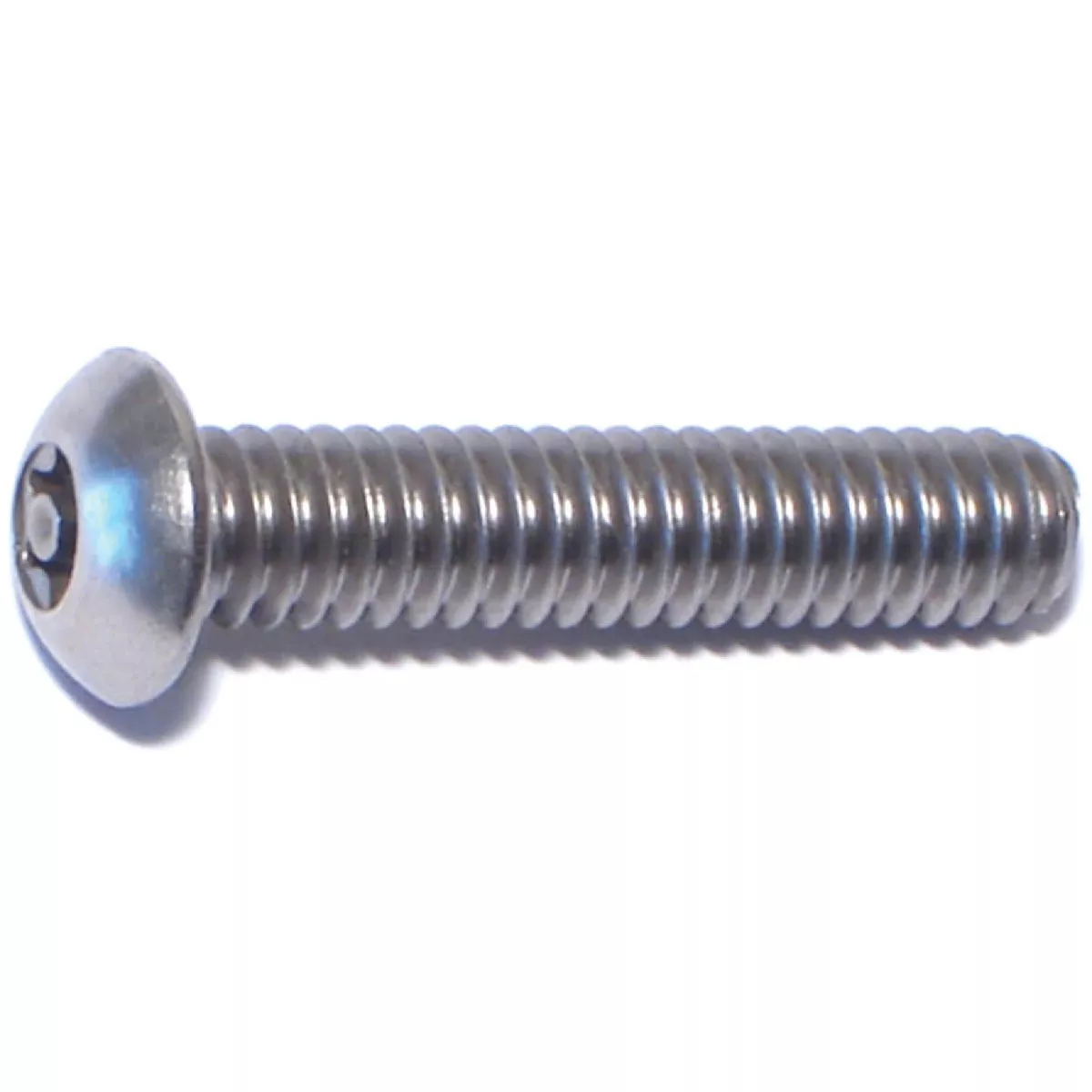Midwest Fastener 1/4 In.-20 x 1-1/4 In. 18-8 Stainless Steel Coarse Thread Security Star Drive Button Head Machine Screws (6 Ct.)-