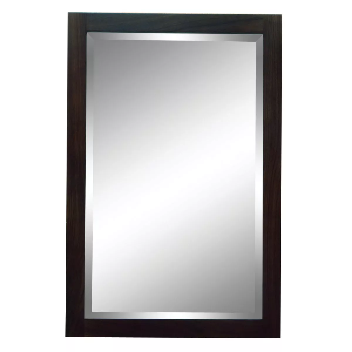 Sunny Wood Modesta Walnut 23-5/8 In. W x 35-13/16 In. L Vanity Mirror