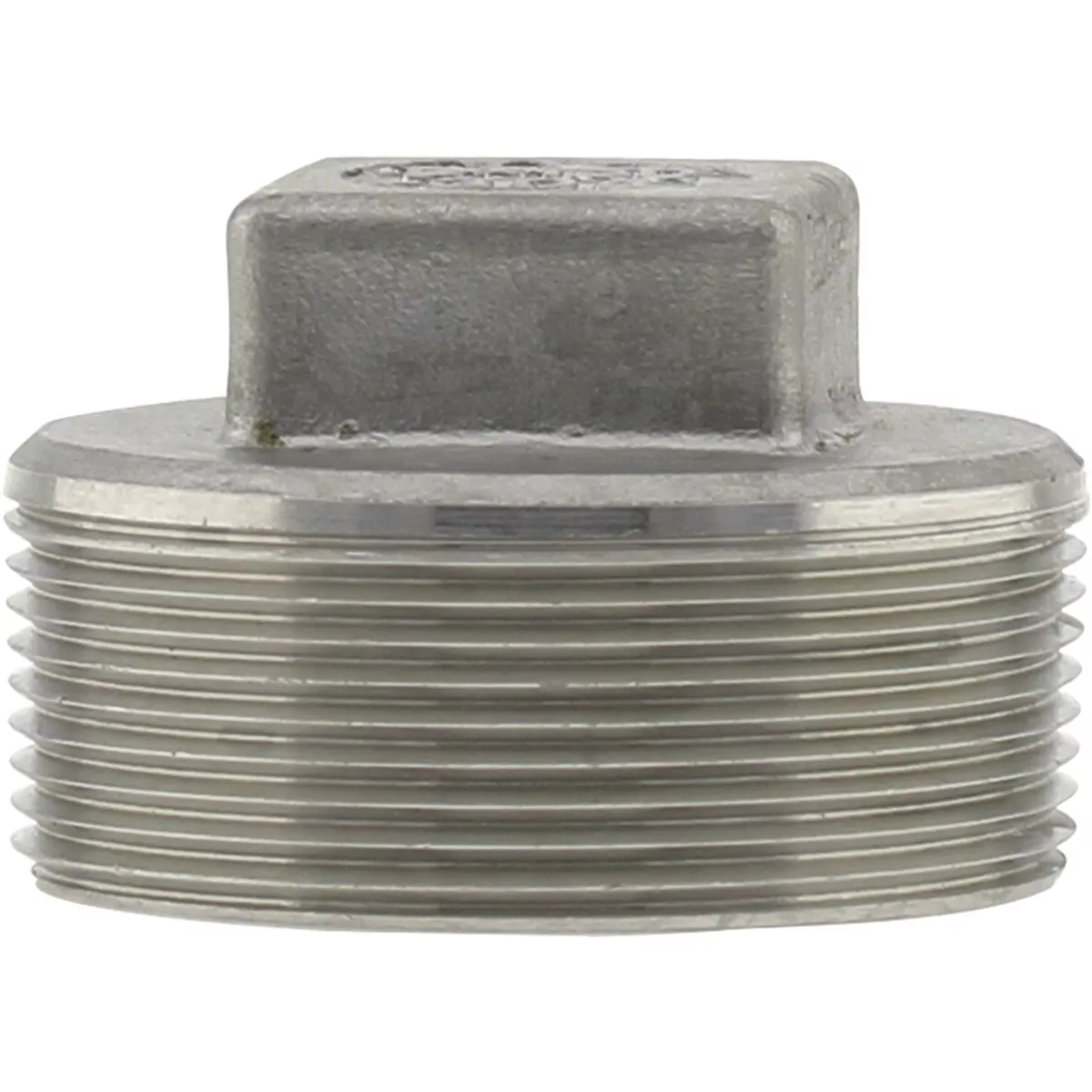 PLUMB-EEZE 2 In. MIP Square Head Stainless Steel Plug