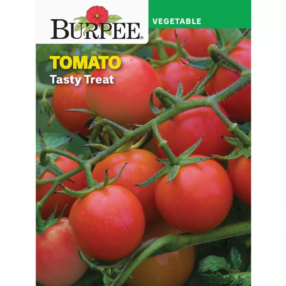 Burpee Tomato Tasty Treat Seed Packet