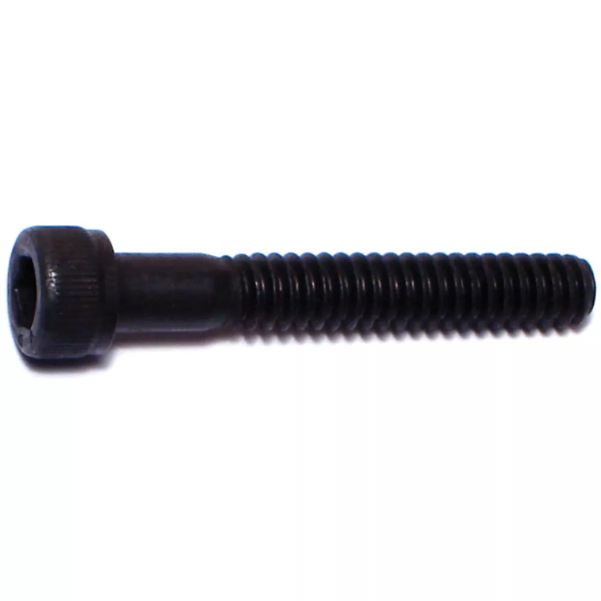 Midwest Fastener #10-24 x 1-1/4 In. Plain Steel Coarse Thread Socket Cap Screws (8 Ct.)
