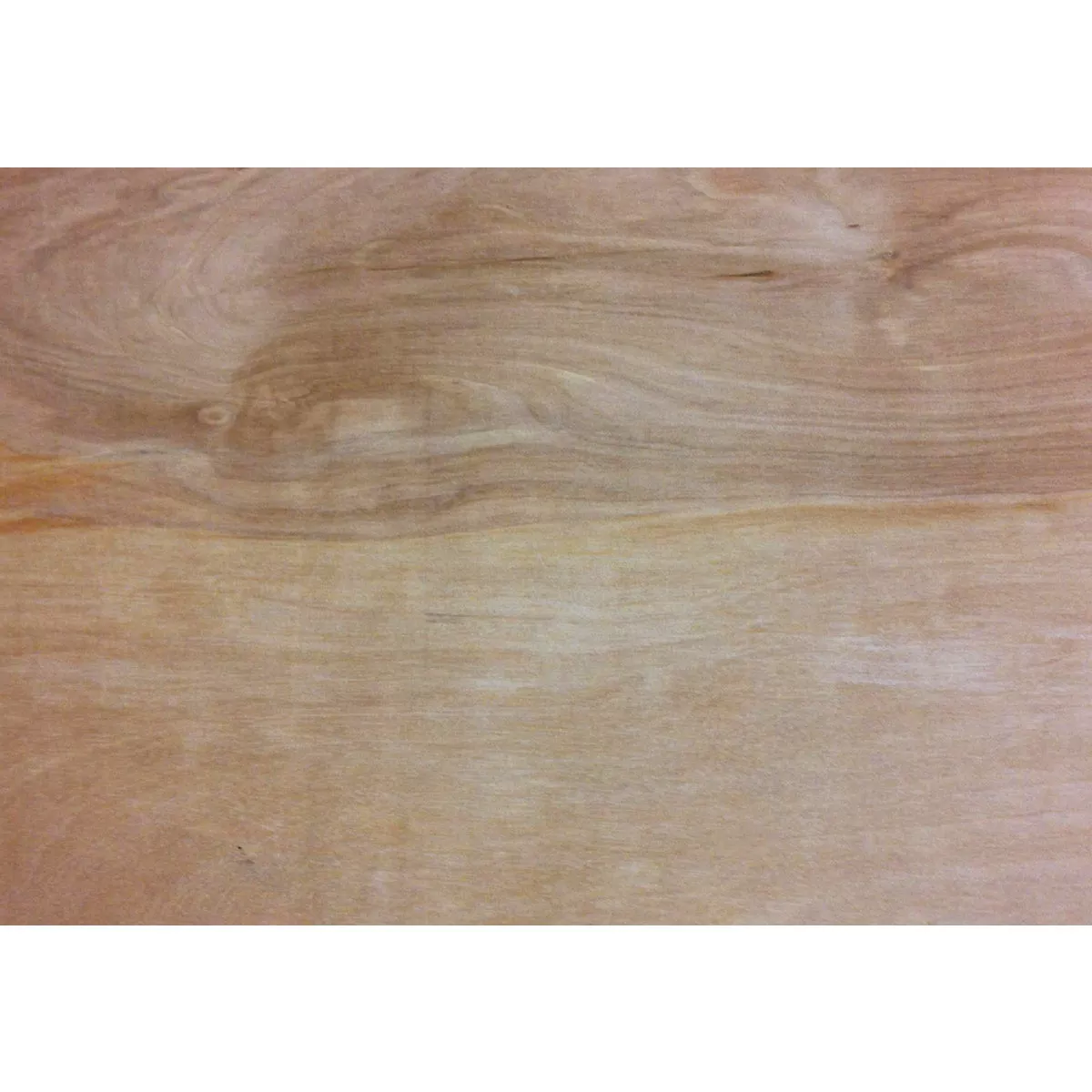 ProWood 1/2 In. x 24 In. x 24 In. Birch Plywood