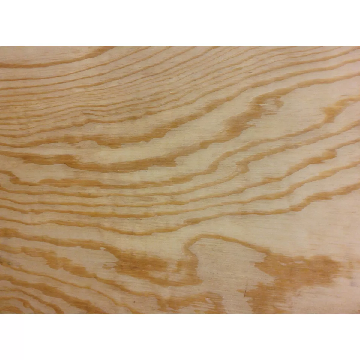 ProWood 3/8 In. x 24 In. x 24 In. BCX Pine Plywood