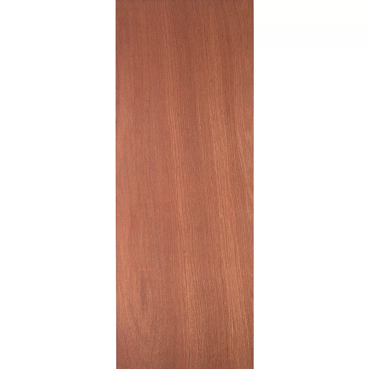 Masonite 26 In. W. x 80 In. H. Lauan Wood Interior Hollow Core Door Slab