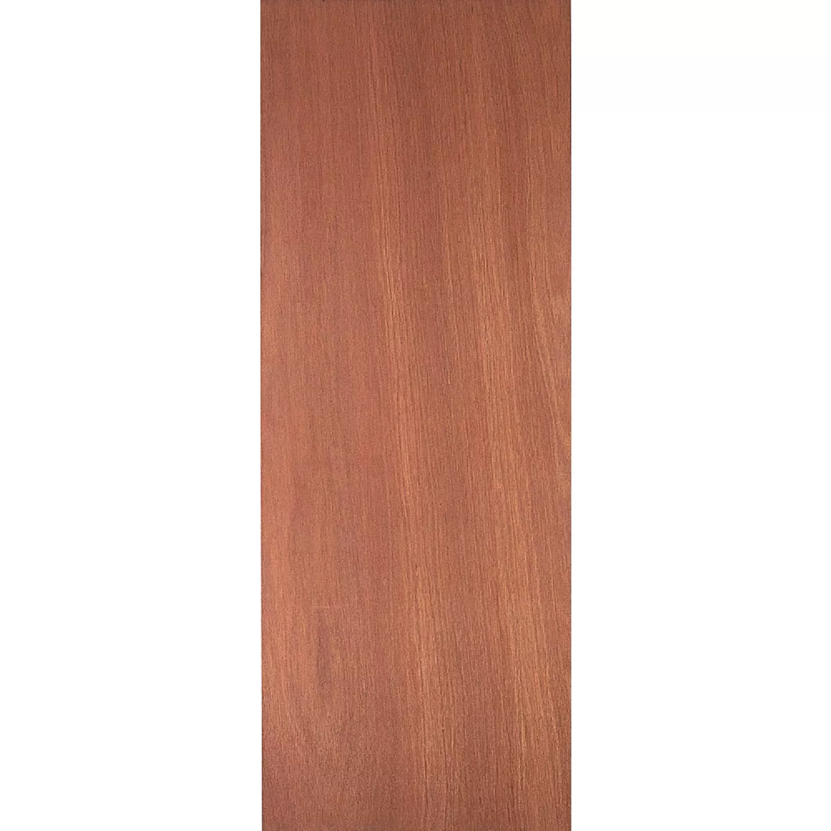 Masonite 30 In. W. x 80 In. H. Lauan Wood Interior Hollow Core Door Slab