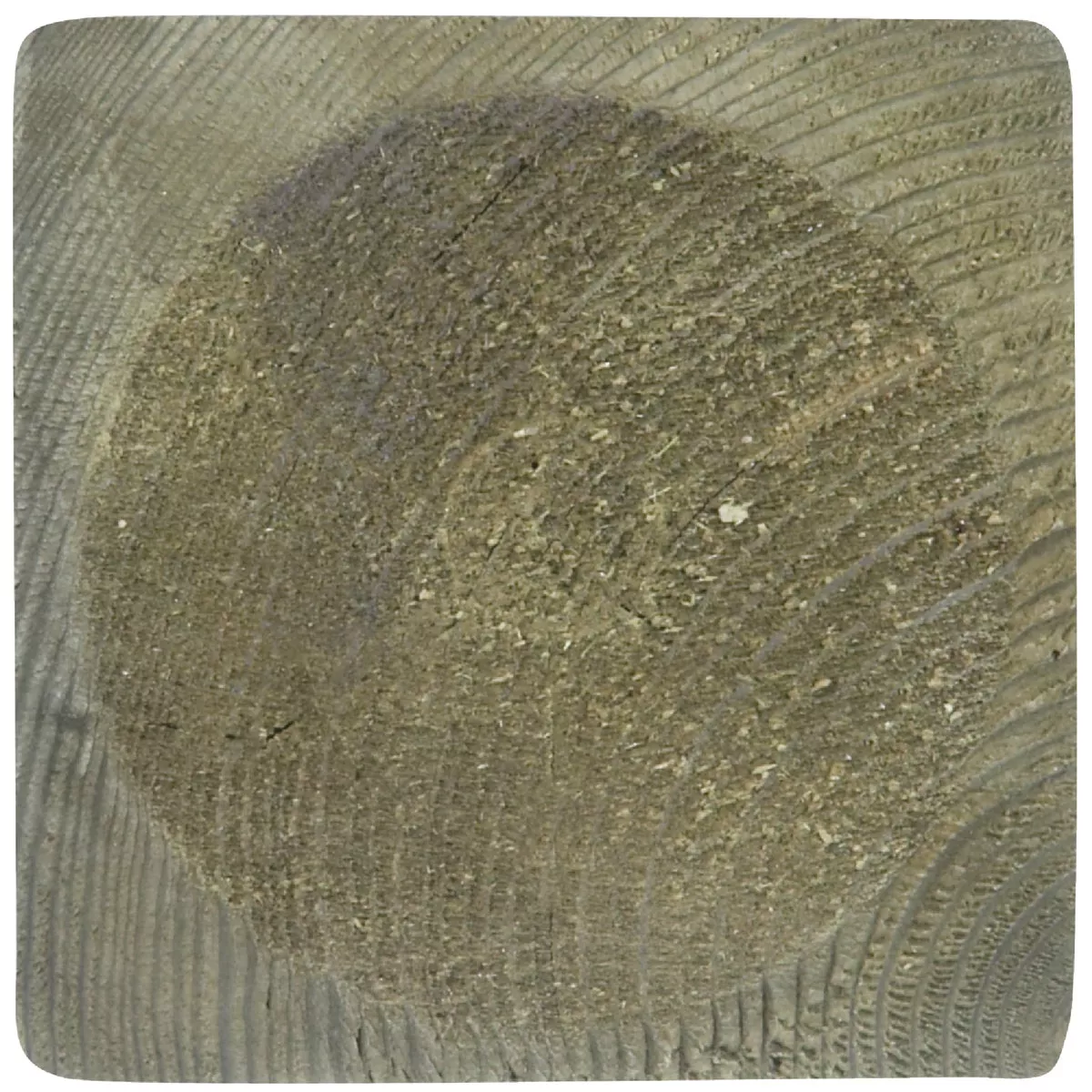 ProWood 4 In. x 4 In. x 54 In. Treated Wood Colonial Newel Post - photo 2