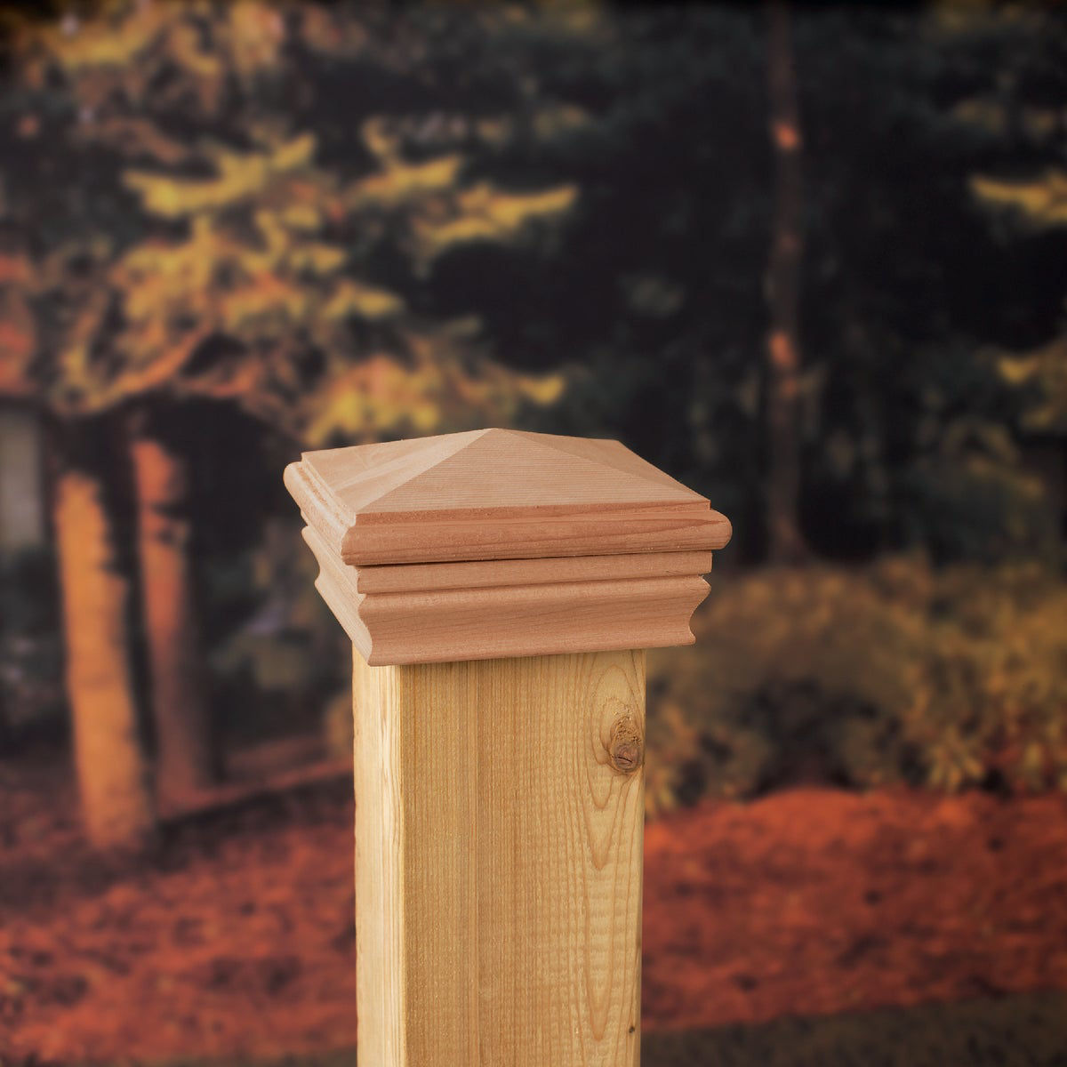 Deckorators 4 In. x 4 In. Cedar Press-On Post Cap | Do it Best