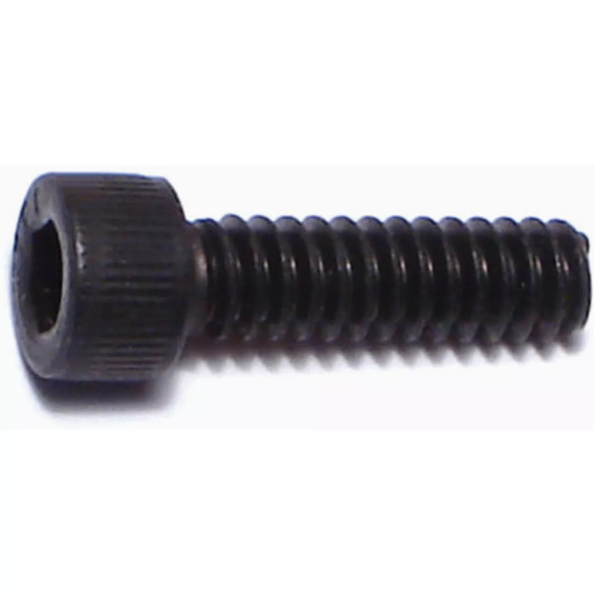 Midwest Fastener #6-32 x 1/2 In. Plain Steel Coarse Thread Socket Cap Screws (20 Ct.)-