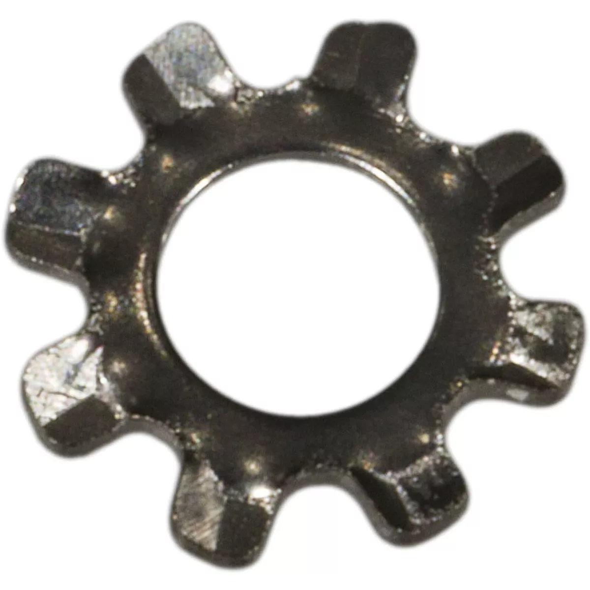 Midwest Fastener #4 x 7/64 In. x 17/64 In. 18-8 Stainless Steel External Tooth Lock Washers (50 Ct.)