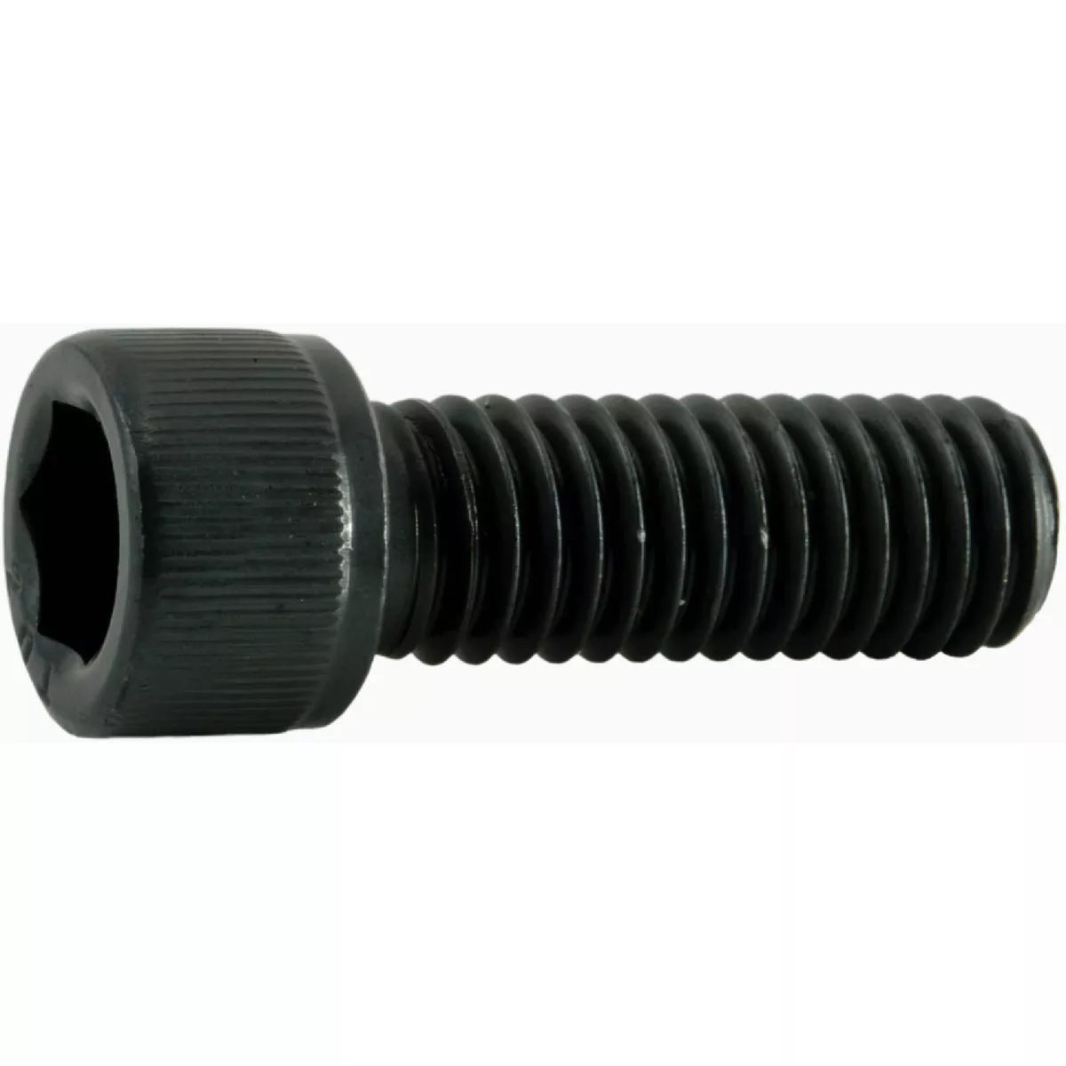 Midwest Fastener 7/16 In.-14 x 1-1/4 In. Steel Coarse Thread Socket Cap Screws (6 Ct.)