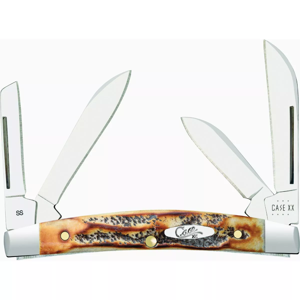 Case 6.5 BoneStag Small Congress Pocket Knife