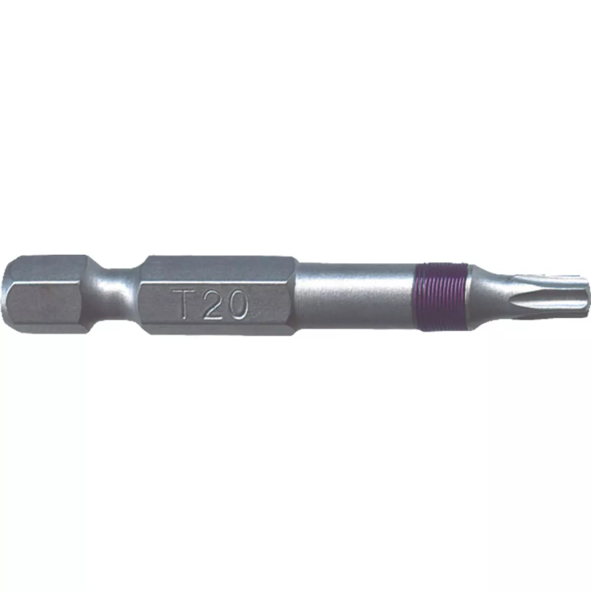 Big Timber T20 x 2 In. Torx Bit (2-Piece)