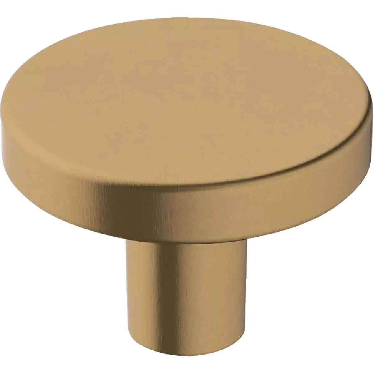 Amerock Versa 1.375 In. Dia. Round Champagne Bronze Cabinet Knob (6-Pack)