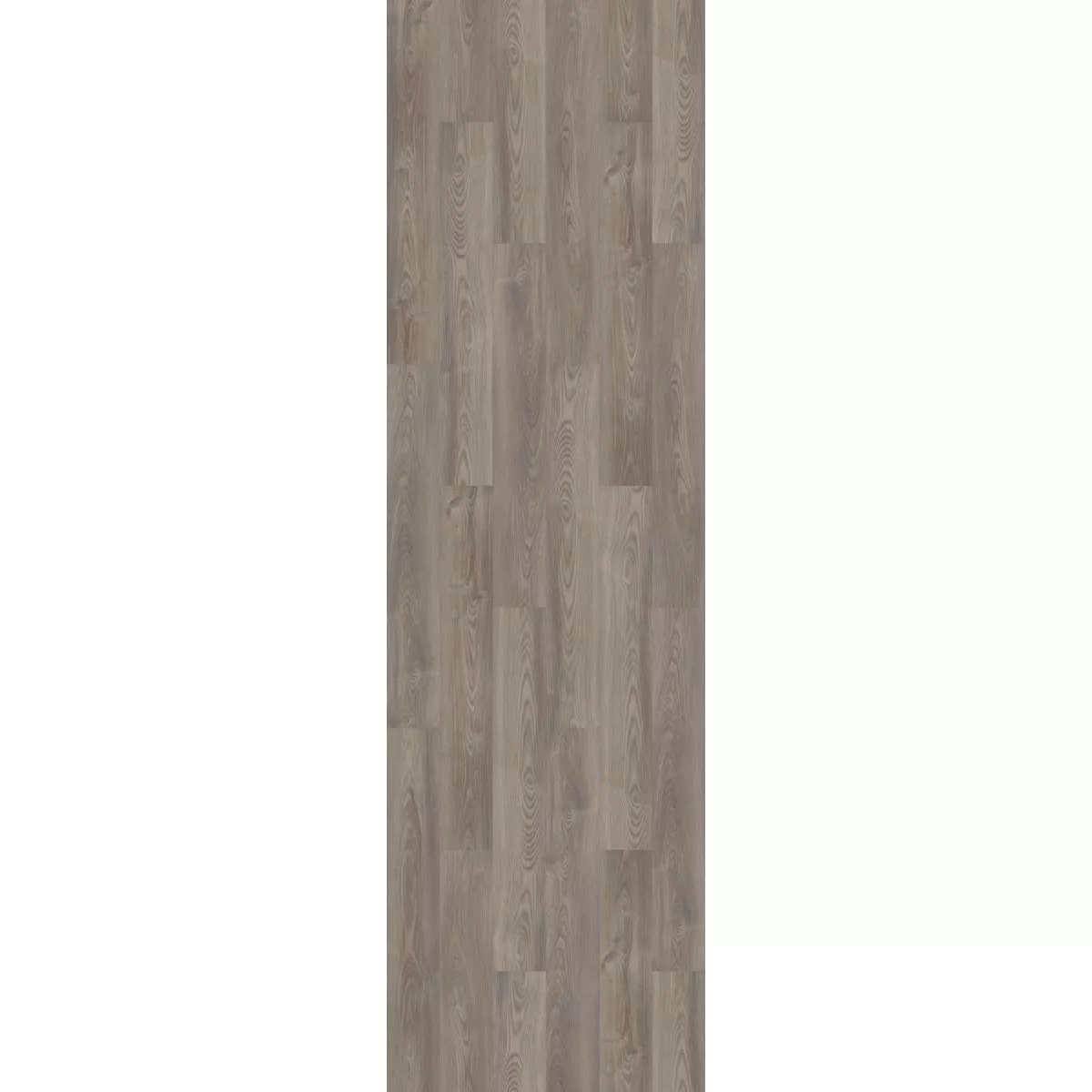 Shaw Floorte Pro Anvil Plus Grey Chestnut 7 In. W x 48 In. L Vinyl Rigid Core Floor Plank (27.73 Sq. Ft./Case)