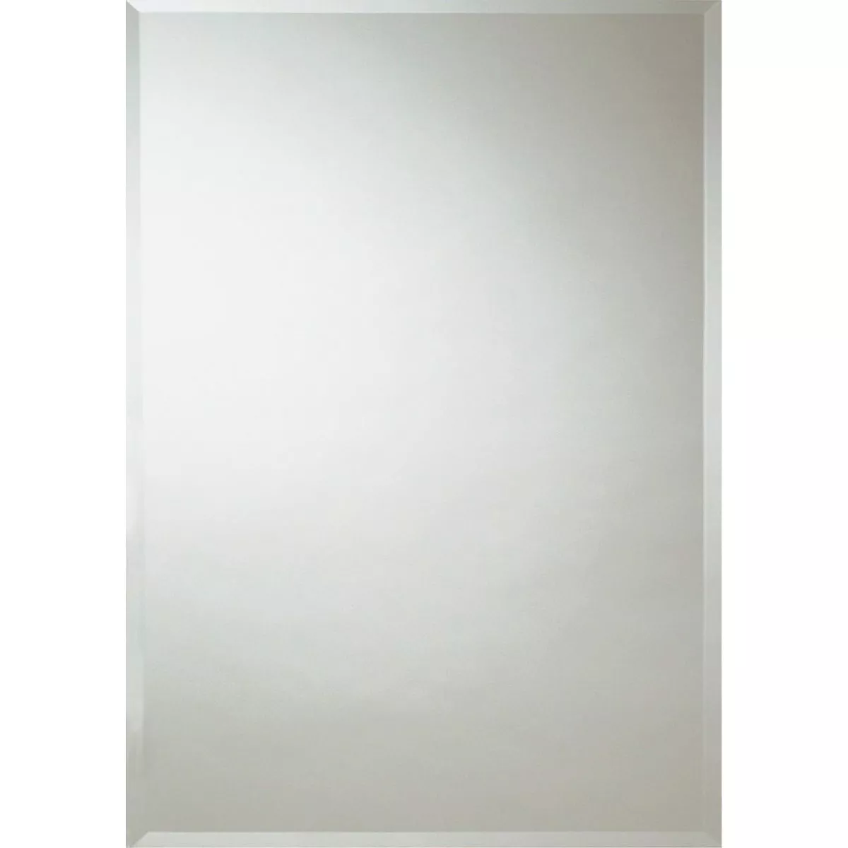 Erias Home Design 24 In. W. x 30 In. H. Frameless Beveled Edge Wall Mirror